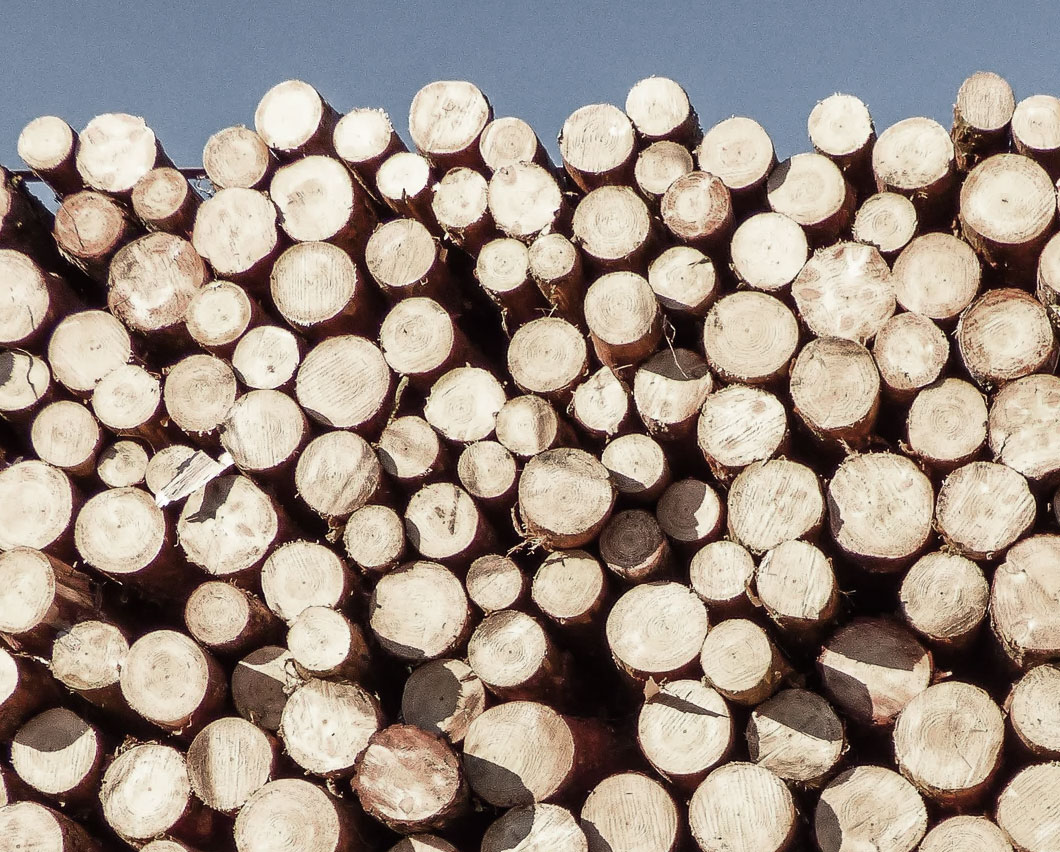 自有技術研發團隊 滿足市場高要求